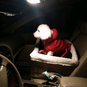 Meet your Posher, Denise